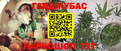 сатива Чебоксары