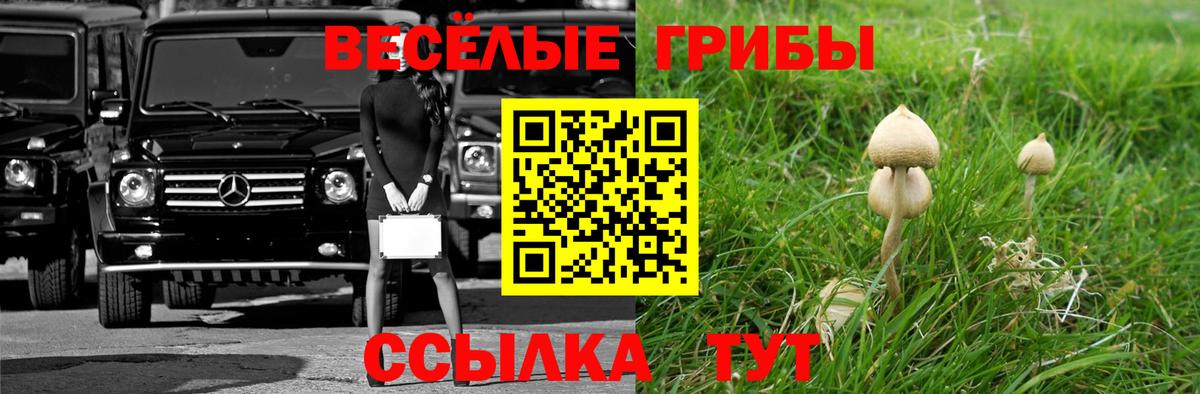 Галлюциногенные грибы мицелий Троицк