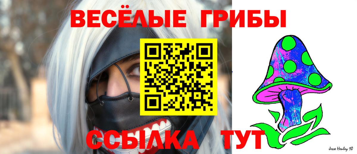 Псилоцибиновые грибы Psilocybe  Псилоцибиновые грибы GOLDEN TEACHER  Вход с VPN  Троицк 